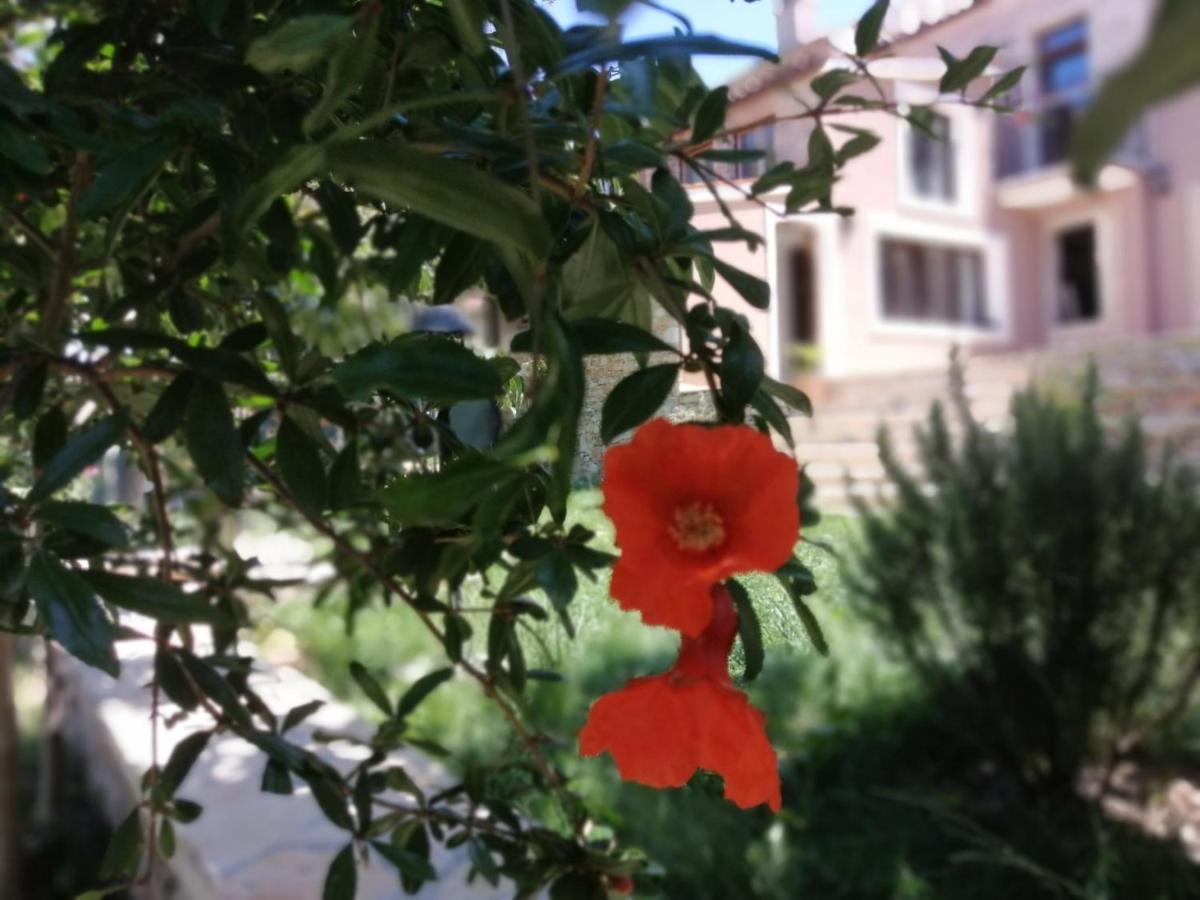 PUY Apartments Sena מראה חיצוני תמונה