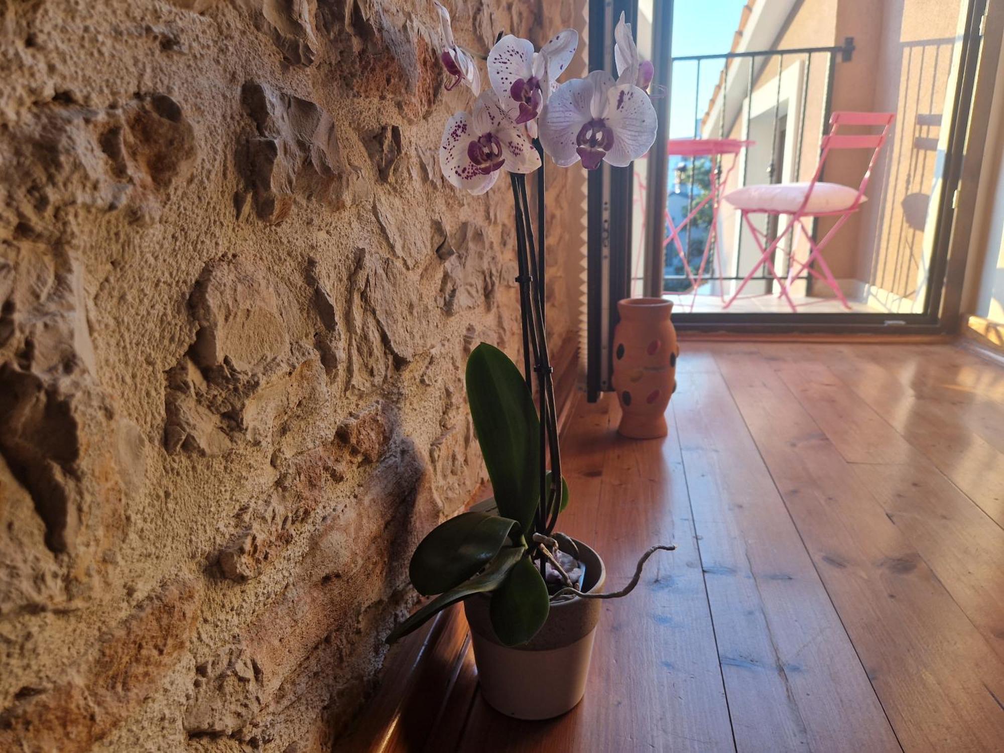 PUY Apartments Sena מראה חיצוני תמונה